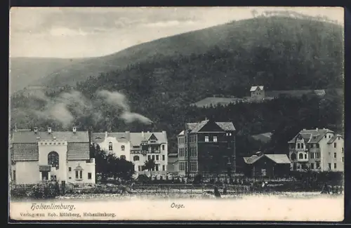 AK Hohenlimburg, Oege, Villen-Panorama mit Anlagen u. Bergblick