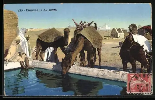AK Chameaux au puits