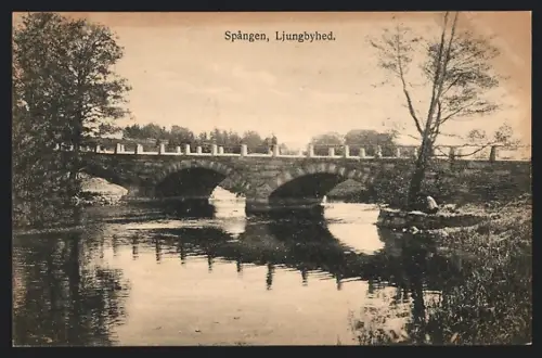 AK Spangen, Ljungbyhed