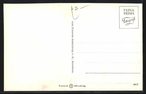 AK Stockholm, Utsikt fran Kungstorhen