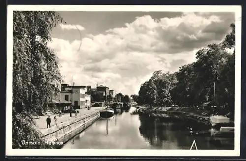 AK Uppsala, Hamnen
