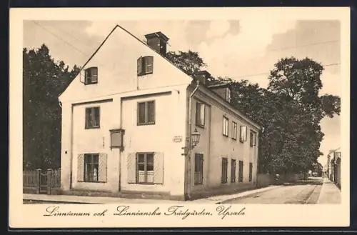 AK Upsala, Linnéanum och Linnéanska Trädgarden