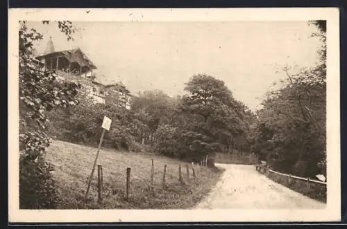 AK Wien, Kahlenberg, Strassenpartie