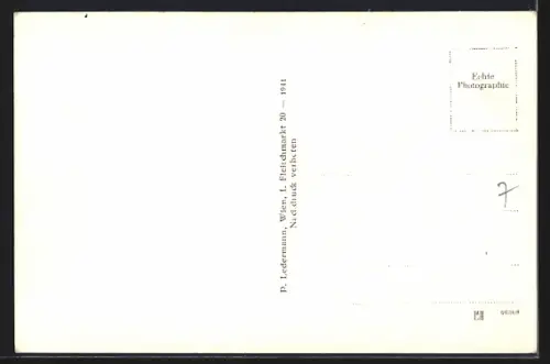 AK Wien, Leopoldsberg mit Kirche und Strassenpartie