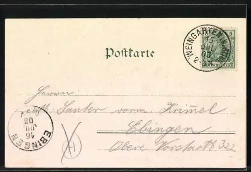 AK Weingarten / Württ., Teilansicht mit Benediktinerkloster