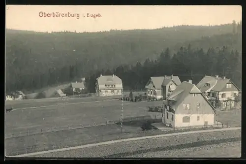 AK Oberbärenburg i. Erzgeb., Ortspartie mit Feldweg