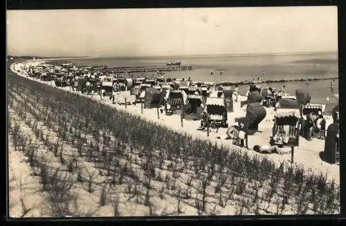 AK Zingst /Darss, Strandpartie mit bepflanzter Düne