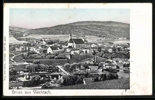 AK Viechtach, Teilansicht mit Kirche