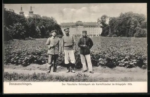 AK Donaueschingen, Fürstliche Schlosspark als Kartoffelacker im Kriegsjahr 1915