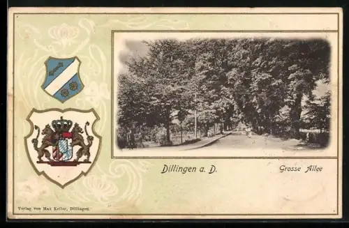 Passepartout-Lithographie Dillingen a. D., Grosse Allee, Wappen