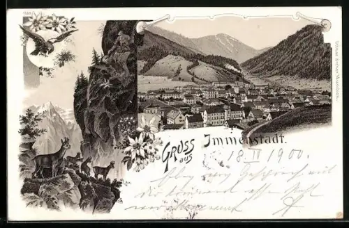 Lithographie Immenstadt, Ortsansicht aus der Vogelschau, Gämsen