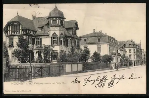 AK Frankfurt-Höchst, Feldbergstrasse mit Villa Daur