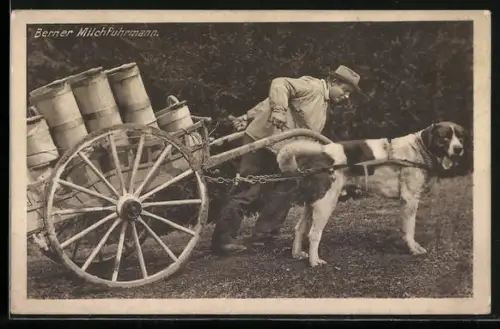 AK Bern, Milchfuhrmann mit Hundegespann