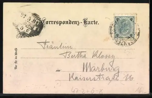 Lithographie Graz, Studentenwappen Deutscher akademischer Gesangsverein der Universität