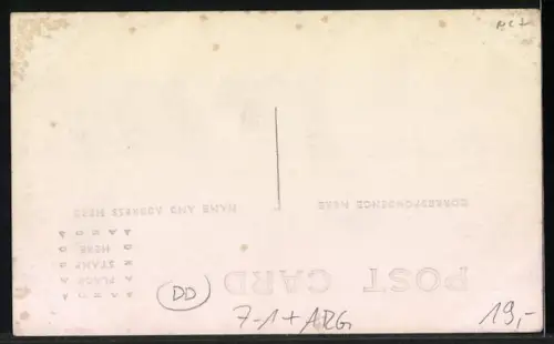 AK Rufino, Flour Mill, Bergbau