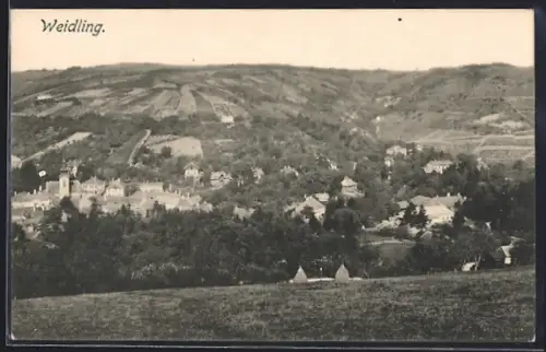 AK Weidling, Blick vom Berg auf den Ort