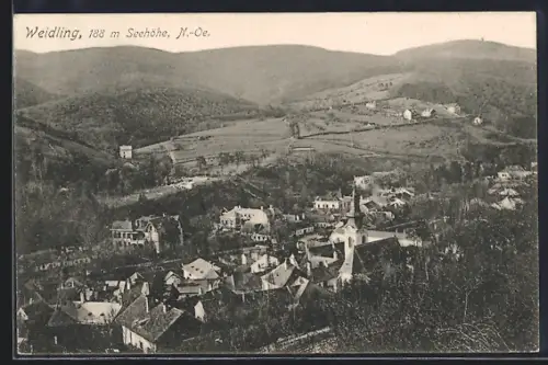 AK Weidling /N.-Oe., Ortsansicht aus der Vogelschau
