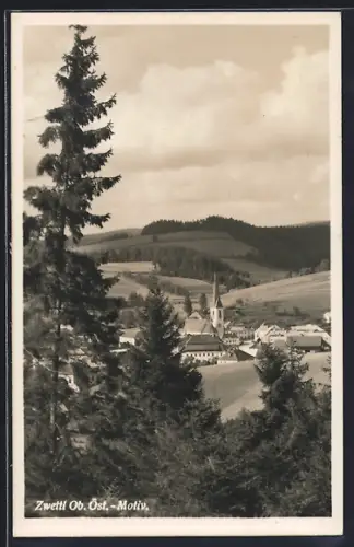 AK Zwettl /Ob. Oest., Teilansicht mit Kirche
