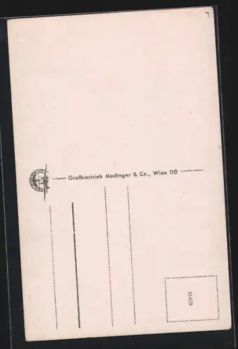 AK Wien, Stephansdom mit Geschäften