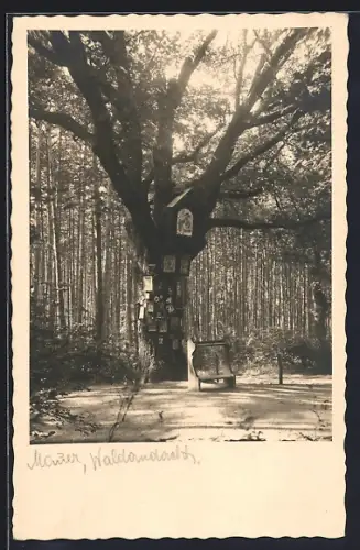 Foto-AK Wien, Mauer, Waldandacht