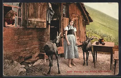 AK Bauernmädchen und Ziegen am Haus