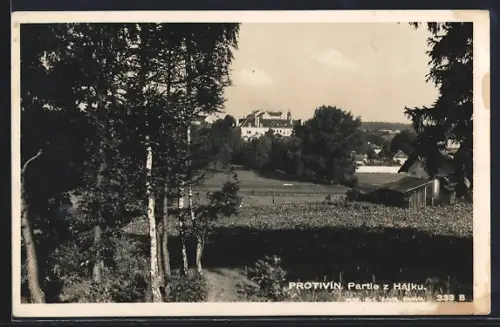 AK Protivin, Partie z Hajku