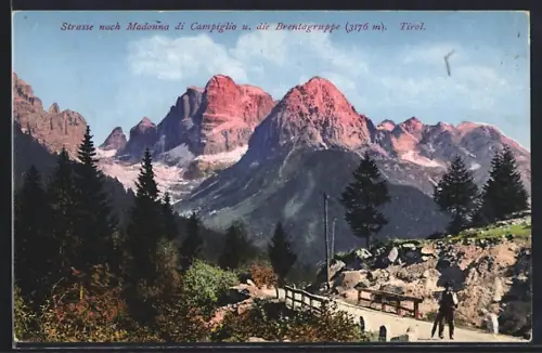 AK Madonna di Campiglio, Strasse zum Ort mit Brentagruppe
