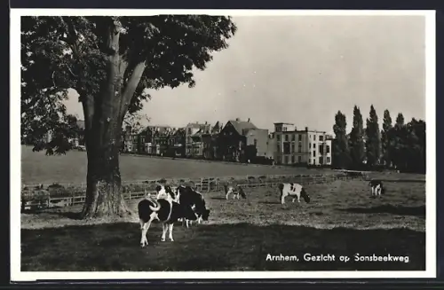 AK Arnhem, Gezicht op Sonsbeekweg