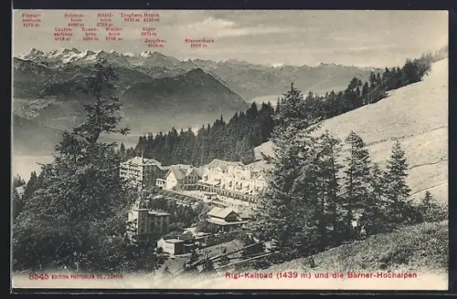 AK Rigi-Kaltbad, Panorama mit den Berner-Hochalpen