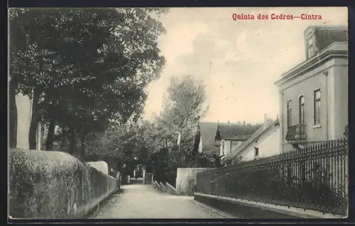 AK Cintra, Quinta dos Cedros