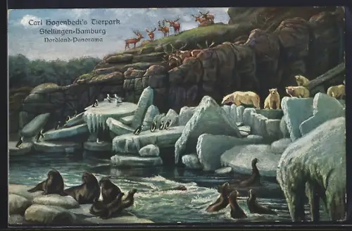 AK Stellingen-Hamburg, Carl Hagenbeck's Tierpark, Nordland-Panorama