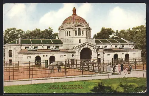 AK New York, Zoological Park, Elefant House