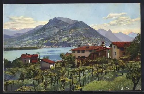 Künstler-AK Photochromie Nr. 3305: Pazzallo, Ortspartie mit Blick über den Luganer See auf Monte Bré