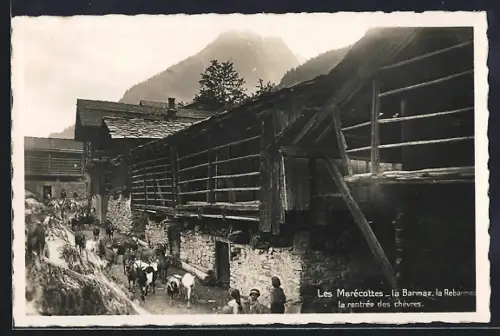 AK Les Marécottes, La Barmaz, la rentrée des Chèvres