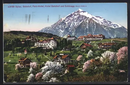 AK Spiez, Bahnhof, Park-Hotel, Hotel Bahnhof und Schönegg