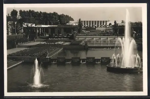 AK Essen, Gruga-Park, Wasserterrassen mit Leuchtfontäne
