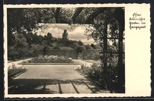 AK Essen, Botanischer Garten im Grugapark
