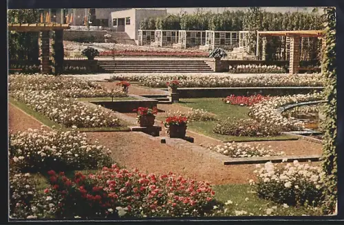 AK Essen, grosse Gartenbau-Ausstellung 1929, Pergolagarten mit Rosenanlage und Rosencafé