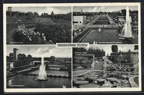 AK Essen, Gruga-Park, Dahlienarena, Sommerblumenterrassen, Wasserterrassen und Warmwasserbecken