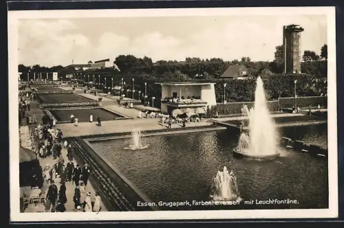 AK Essen, Grugapark, Farbenterrassen mit Leuchtfontäne