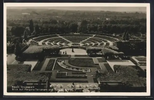 AK Essen, Grugapark, Blick auf Pergola-Terrassen und Dahlien-Arena, Gruga-Ausstellung