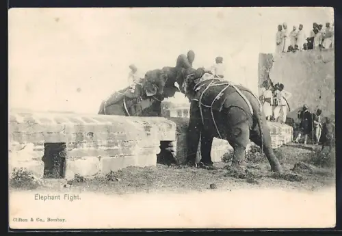 AK Elefantenkampf mit Publikum