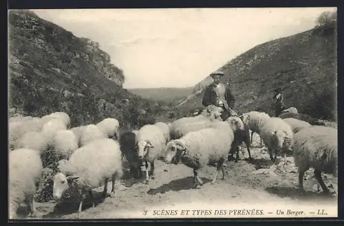 AK Types des Pyrénées, Un Berger, frz. Hirte mit Schafherde