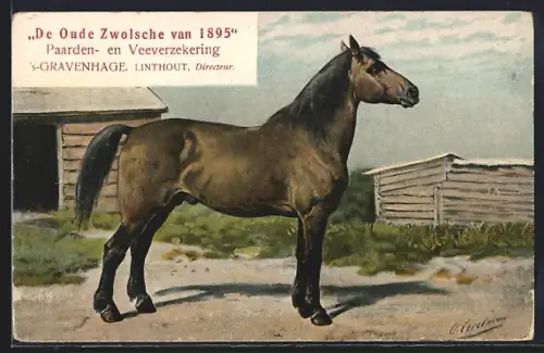 AK `s-Gravenhage, De Oude Zwolsche van 1895, Paarden- en Veeverzekering, Tierversicherung, Tierschutz