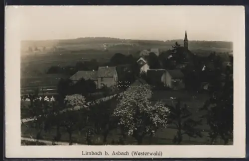 AK Limbach b. Asbach, Ortsansicht übers Feld