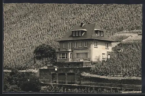 AK Cochem-Cond /Bergstrasse, Volkshilfe - Lebensversicherungen von Peter Schenk am Weinhang