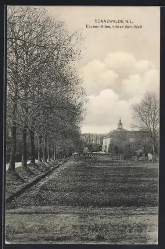 AK Sonnewalde N. L., Eschen-Alle, hinter dem Wall