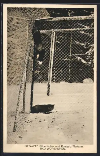 AK Bad Wörishofen, Silberfuchs- und Edelpelz-Tierfarm Ottawa