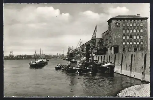 AK Mannheim, Rheinpartie, Hafen, Kräne, Schiffe