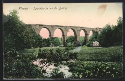 AK Plauen / Vogtland, Syratalpartie mit der Brücke